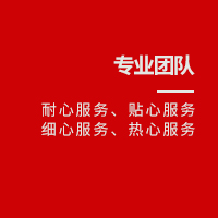 专业团队